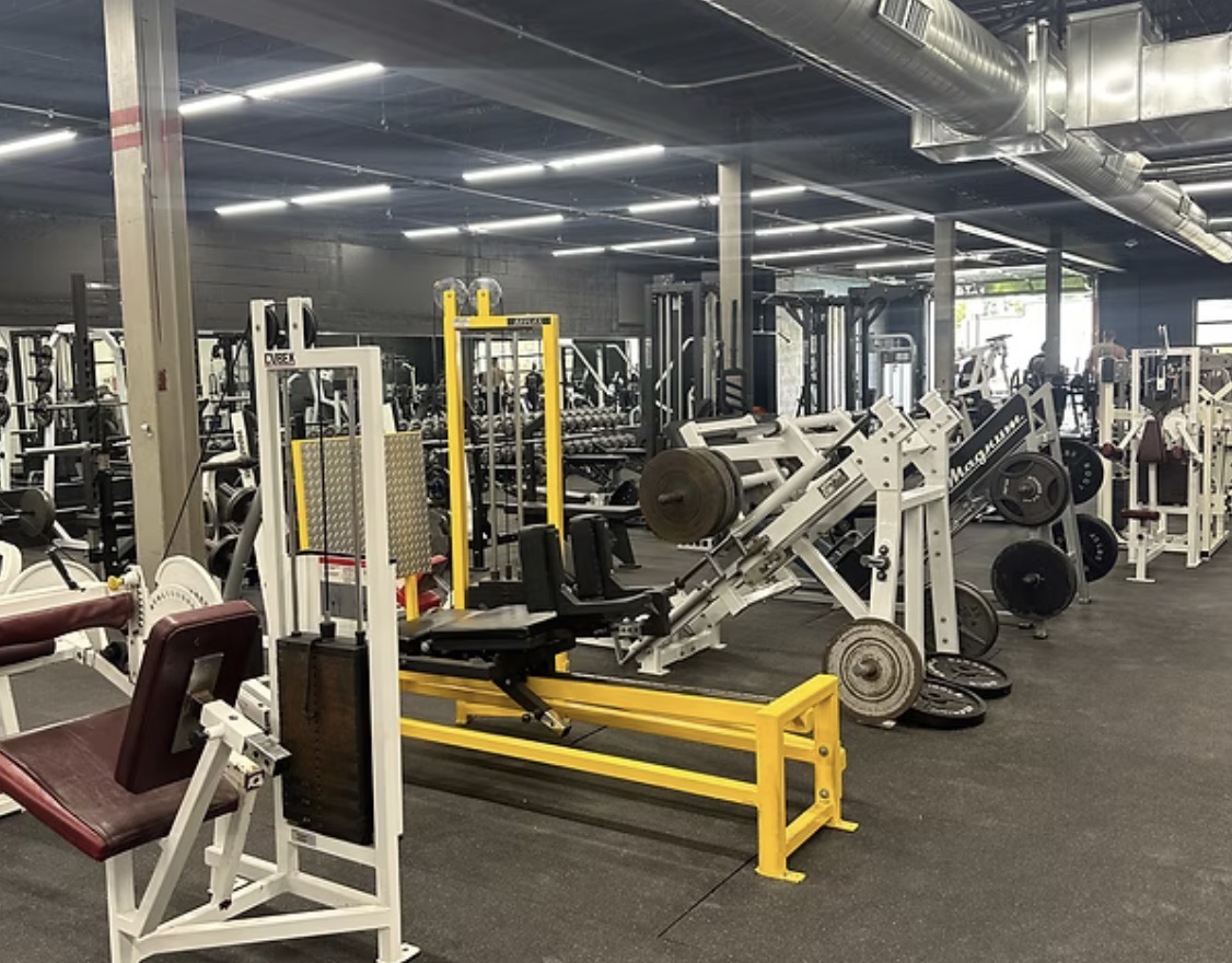 Delf's Pro Gym weight floor with strength machines and free weights